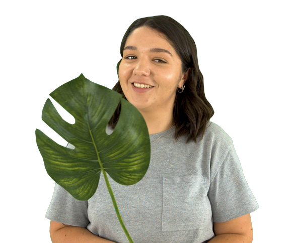 Aimee Team Image